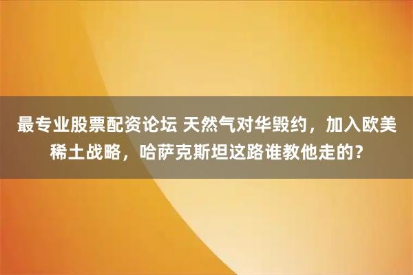 最专业股票配资论坛 天然气对华毁约，加入欧美稀土战略，哈萨克斯坦这路谁教他走的？
