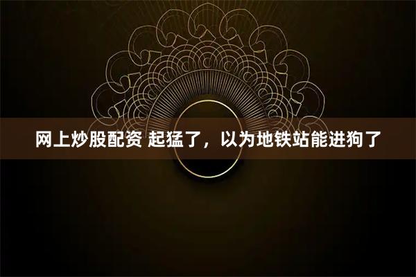 网上炒股配资 起猛了，以为地铁站能进狗了